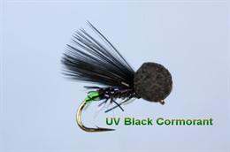UV Black Cormorant Booby